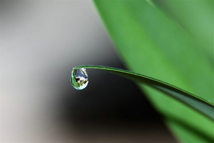 氨氮測定儀